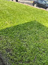 Corepro Landscaping photo 6