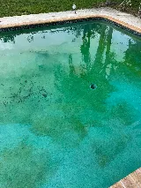 Able Pool Services, LLC photo 7