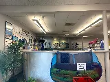 Clearwater Pool & Spa World photo 4