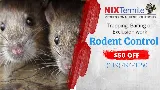 Nixtermite Inc. photo 2