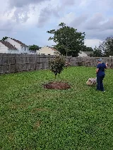 Affordable Cuts photo 6
