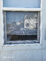 Ace-Hi Glass photo 4