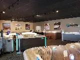 Georgia Spa Company photo 2