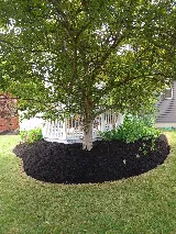 Francisco's Landscaping photo 5