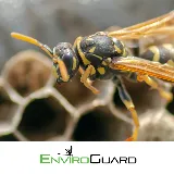 EnviroGuard Pest Control photo 2
