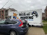 The Wildcat Moving Group photo 3