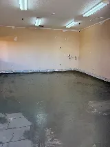 Mister Paint photo 4