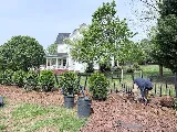 Landscaping NC photo 7