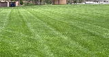 Castro Lawn Care photo 5