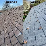 Springfield Roofing photo 2