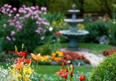 Columbia Landscaping and Lawn Care photo 1