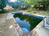 Always Looking Out Pool Cleaning & repair Services photo 4
