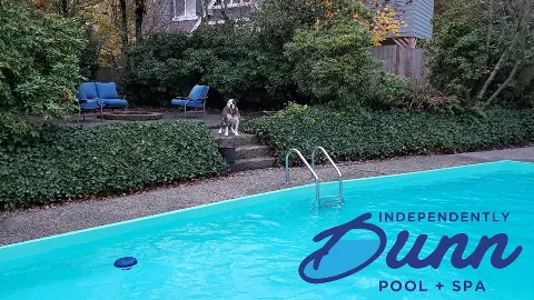 Independently Dunn in Seattle