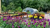 Earth Works Plant Nursery photo 2