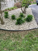 Mendoza Landscaping Construction LLC photo 2