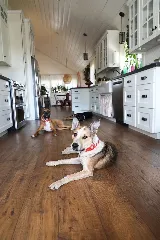 Best Laminate Flooring photo 5
