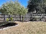 Semper Fi Landscaping & construction photo 5