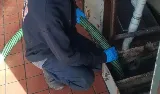 Frink's Sewer & Drain Inc photo 7