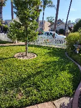 Kniffing's Landscape + Maintenance photo 3