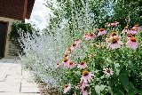 Avant Gardening & Landscaping photo 3