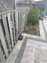 Orented Pest Control Vaughan photo 3
