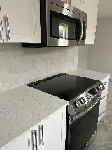 RenoShark Construction Inc. photo 7