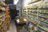 American Plumbing photo 6