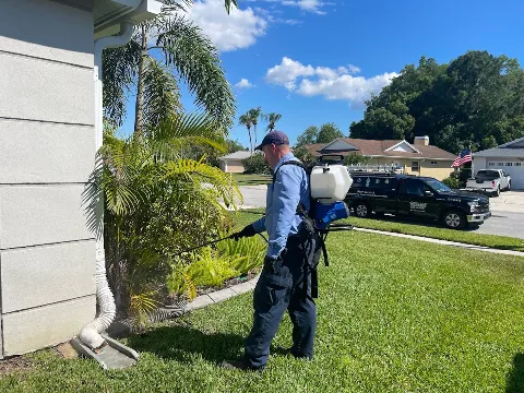 McCall Pest & Wildlife - Orlando in Orlando