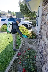 Preventive Pest Control photo 2