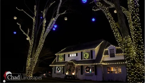 Chad Landscapes, Inc photo 1