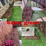 Super Green J&D LLC photo 4