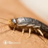 The PEST Group photo 8