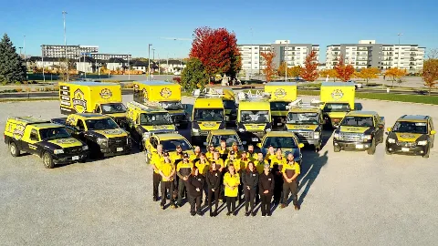 Absolute Comfort Control Services in Windsor
