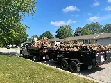 Your Friendly Neighbor Landscaping & Tree Service photo 8