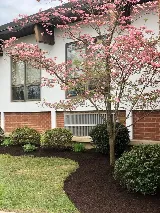Paramo Landscaping, Inc photo 7