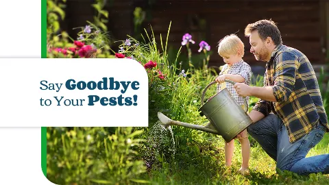 Enviro-Tech Pest Services in Arlington