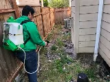 Natura Pest Control - Vancouver photo 10