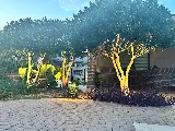 Legacy Lawn & Landscaping photo 4