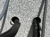 Barefoot Mosquito & Pest Control photo 7
