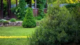 Clientele Lawn & Landscape photo 8