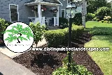 DISTINGUISHED LANDSCAPES