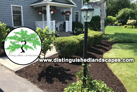 DISTINGUISHED LANDSCAPES in Syracuse