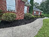 Forest Landscaping services LLC