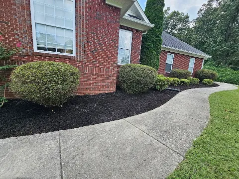 Forest Landscaping services LLC photo 1