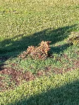 Brooks Landscaping photo 5