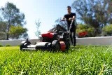 Valley Oak Landscaping photo 2