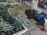 Nature Springs Landscaping photo 2