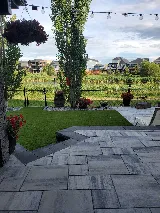 Envision Landscaping photo 5
