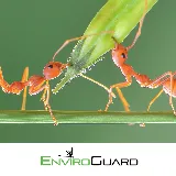 EnviroGuard Pest Control photo 8