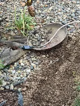 Pointe Pest Control - Bend photo 5